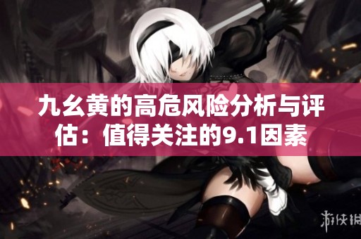 九幺黄的高危风险分析与评估：值得关注的9.1因素